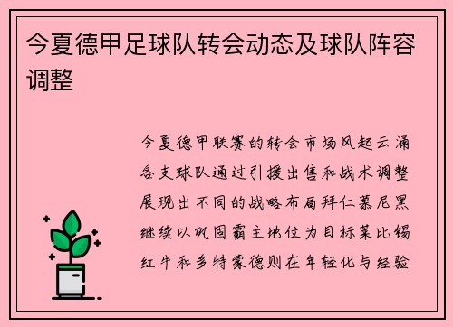 今夏德甲足球队转会动态及球队阵容调整