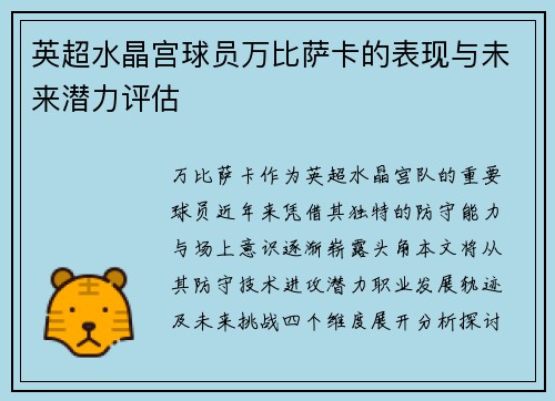 英超水晶宫球员万比萨卡的表现与未来潜力评估